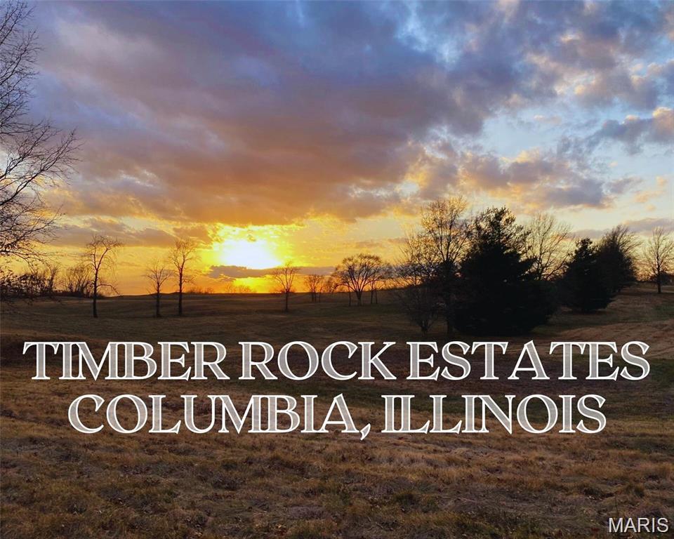 0 Timber Rock Lot 35, Columbia, IL, 62236