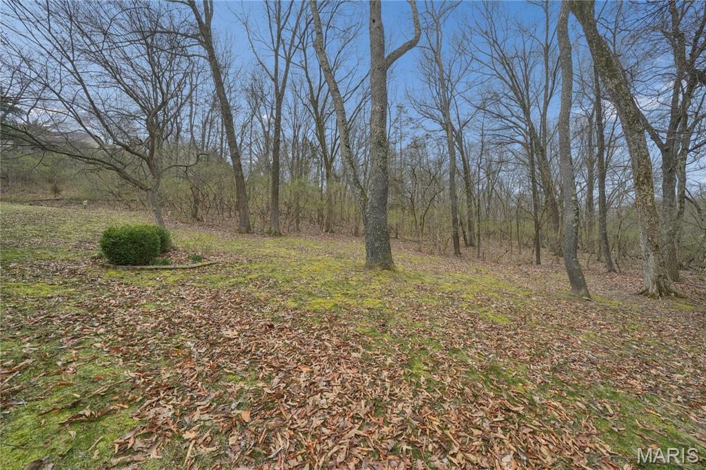 583 Mcbride Pointe Drive, Wildwood, MO, 63011