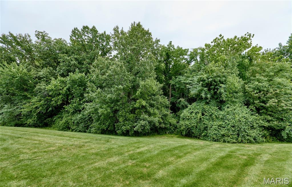8 Turtle Creek Villas Drive #4R, O'Fallon, MO, 63366-7525
