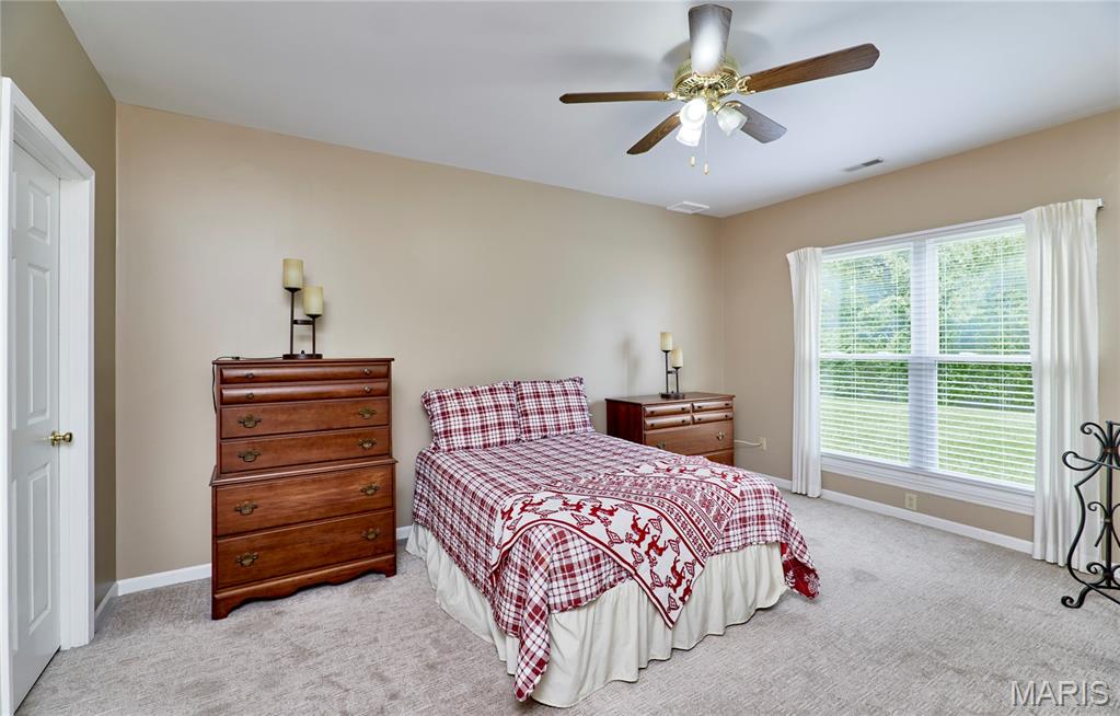 8 Turtle Creek Villas Drive #4R, O'Fallon, MO, 63366-7525