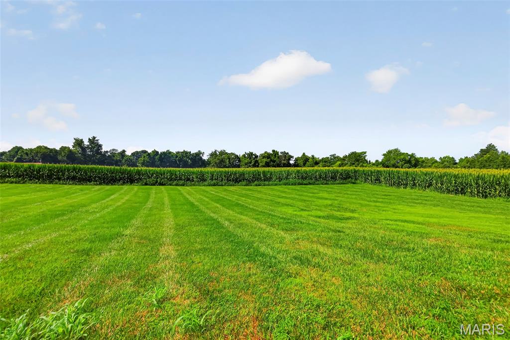 1136 Hoffmann Estates Drive, Columbia, IL, 62236