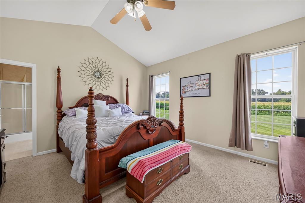 1136 Hoffmann Estates Drive, Columbia, IL, 62236