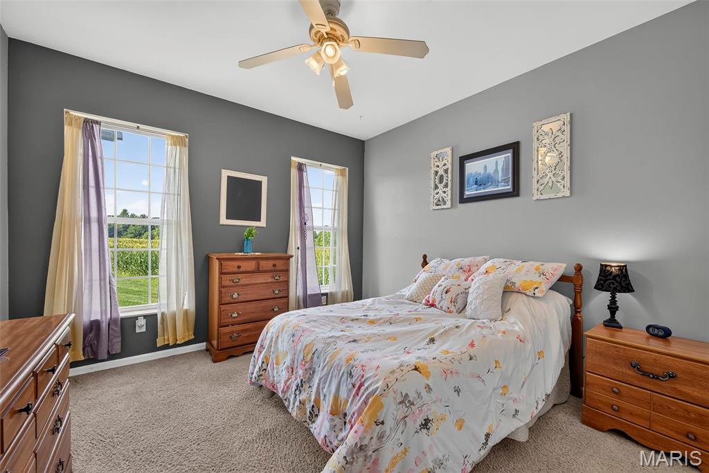 1136 Hoffmann Estates Drive, Columbia, IL, 62236