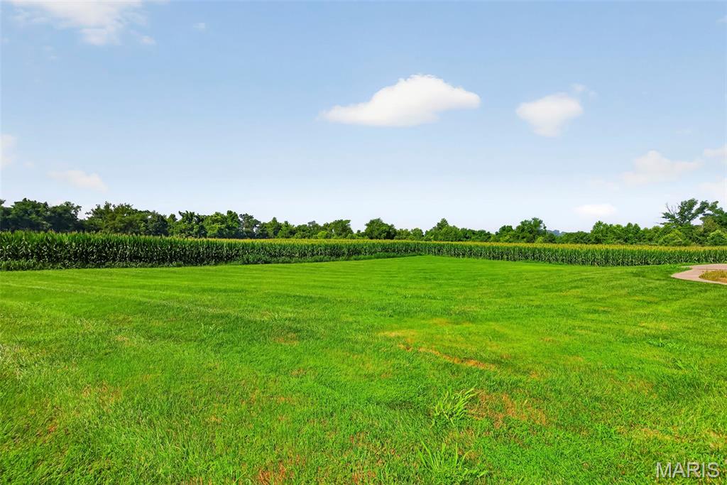 1136 Hoffmann Estates Drive, Columbia, IL, 62236