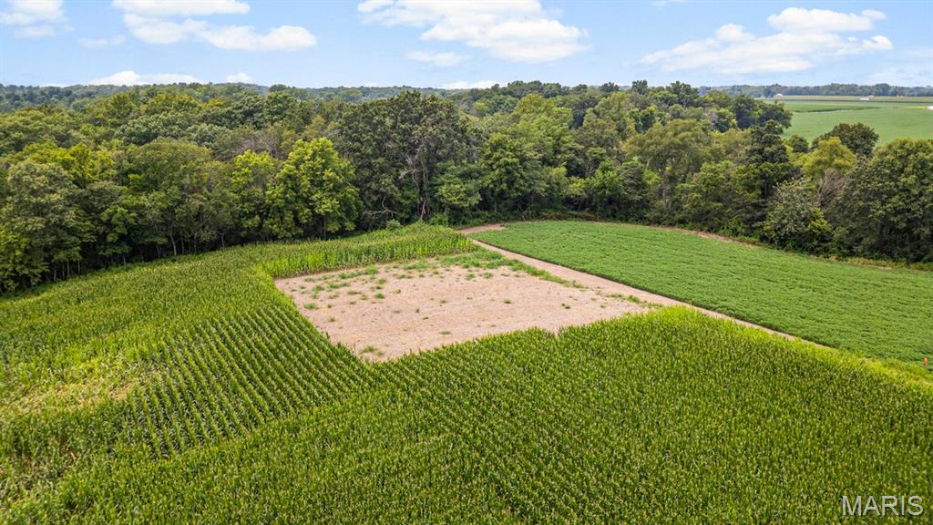 4145 Levy Lane, Millstadt, IL, 62260