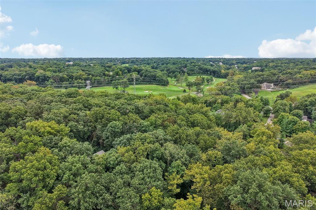 2260 Ridgley Woods Drive, Chesterfield, MO, 63005