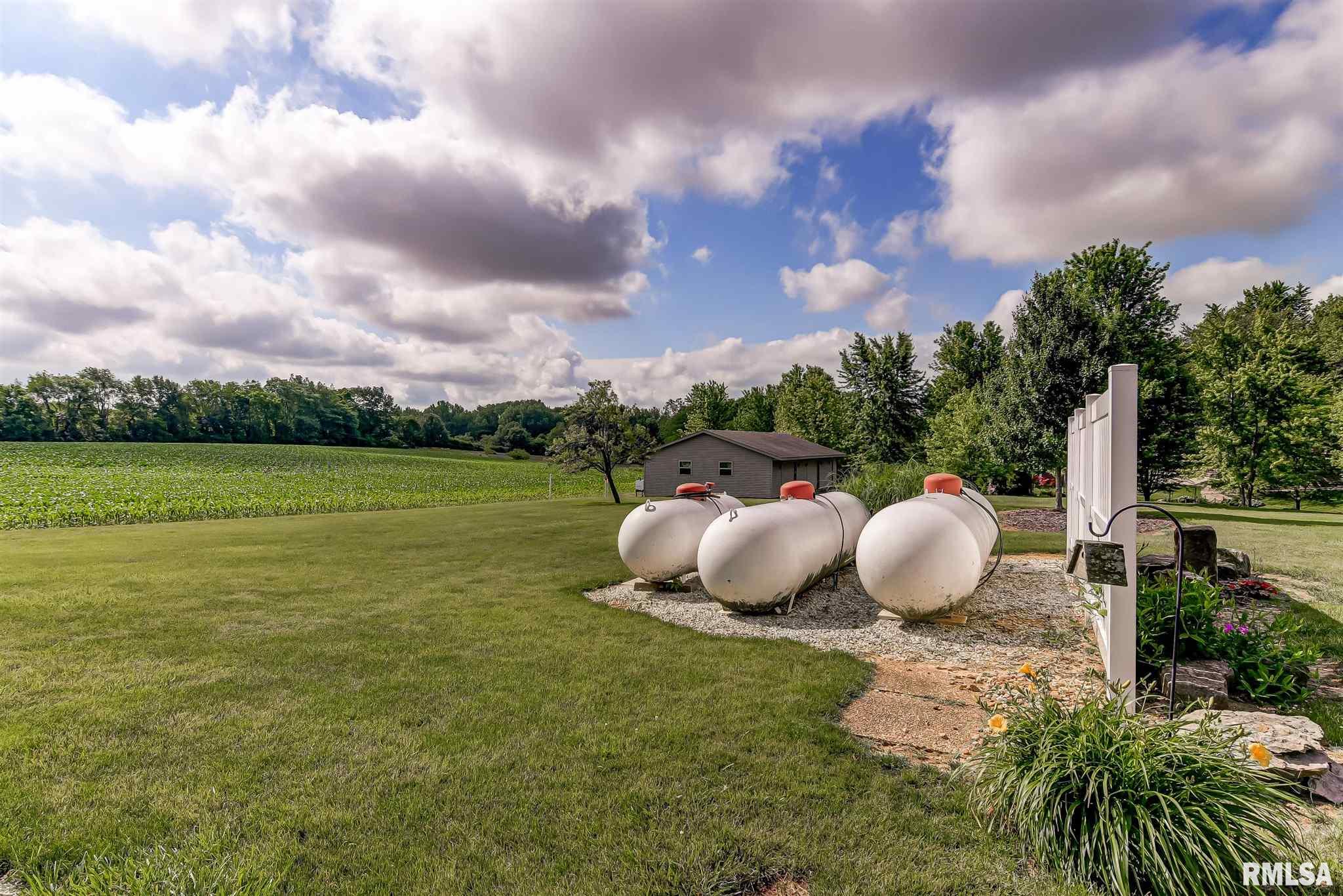 1650 Mcqueen Road, Pleasant Plains, IL, 62677