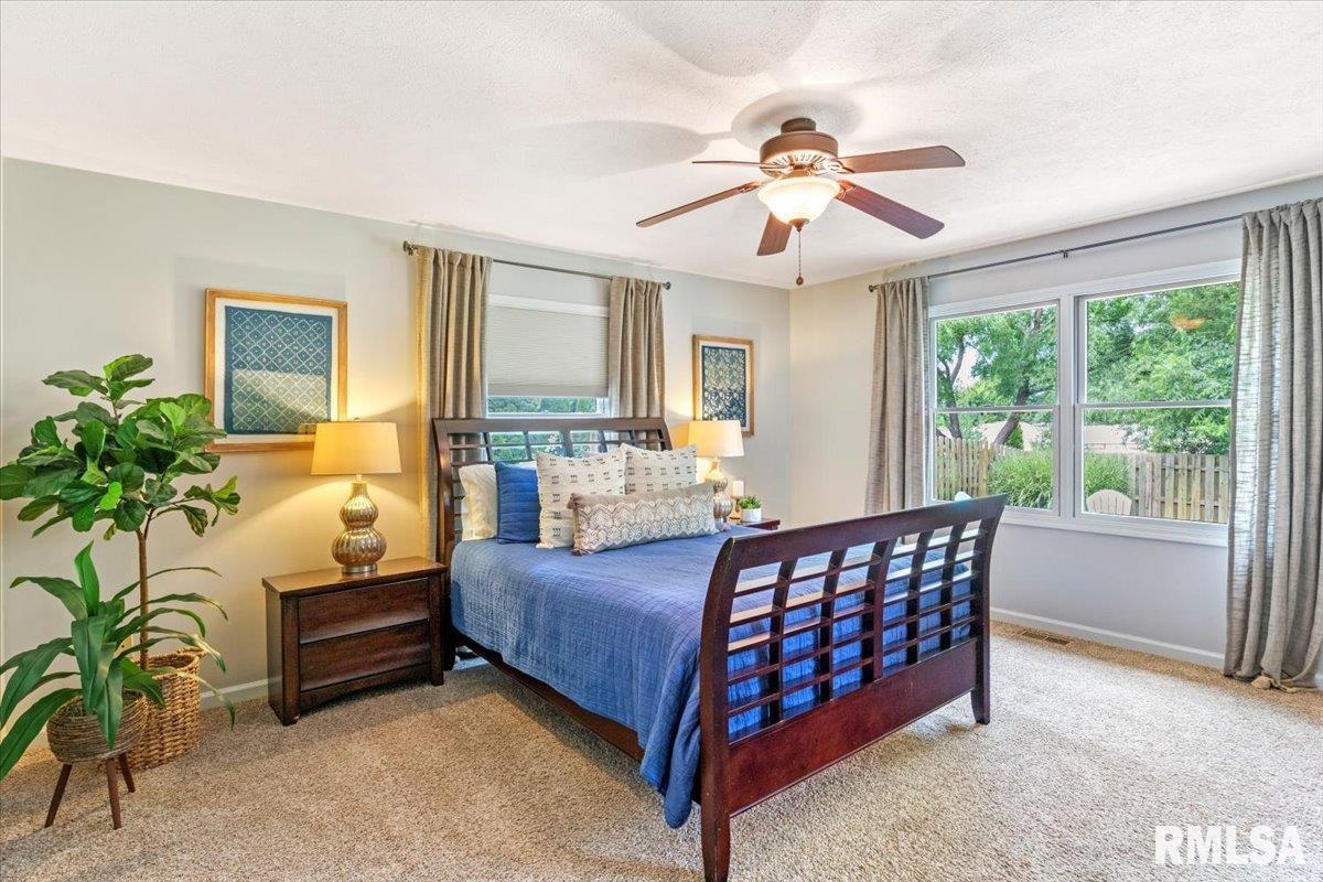 141 Parkway Drive, Chatham, IL, 62629